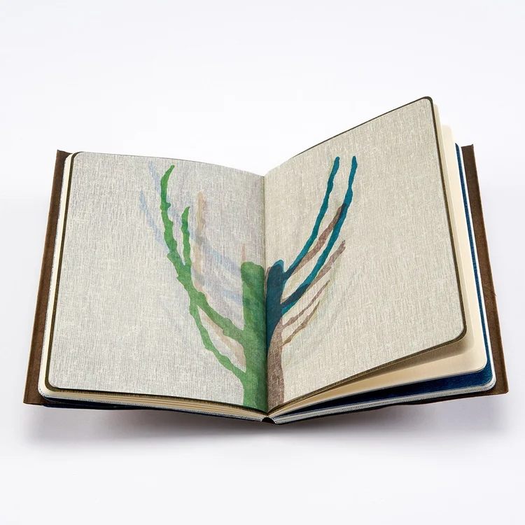 Artist book pages from "Growing Season," Katie Baldwin and Sarah Bryant